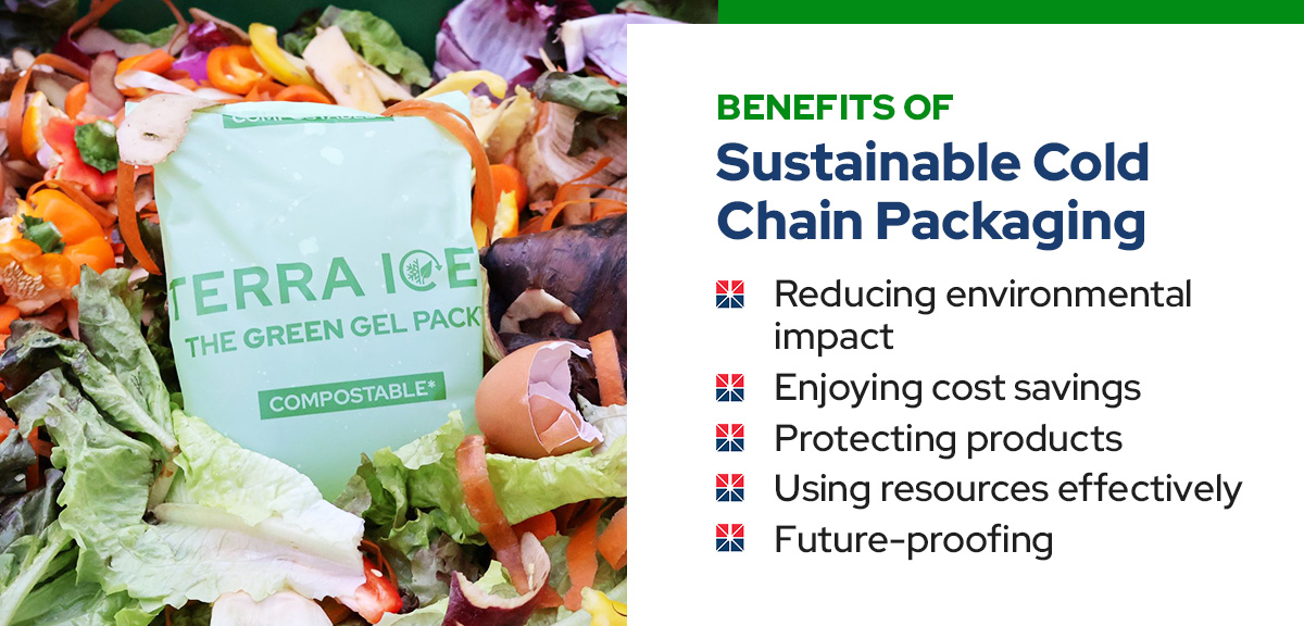 Benefits of sustainable cold chain packaging